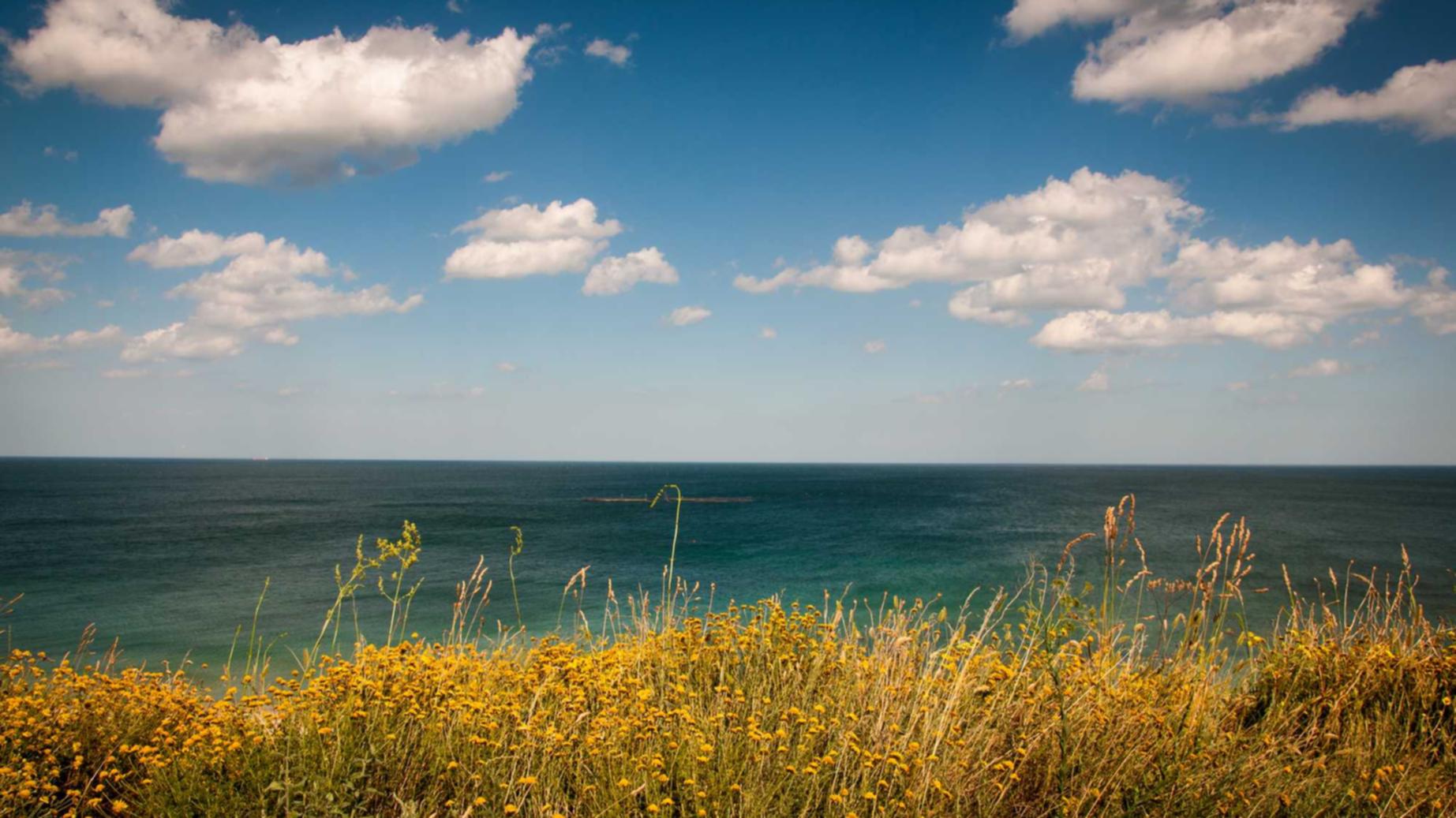 皇马娱乐,注册|集中精力为高价值客户提供优化服务