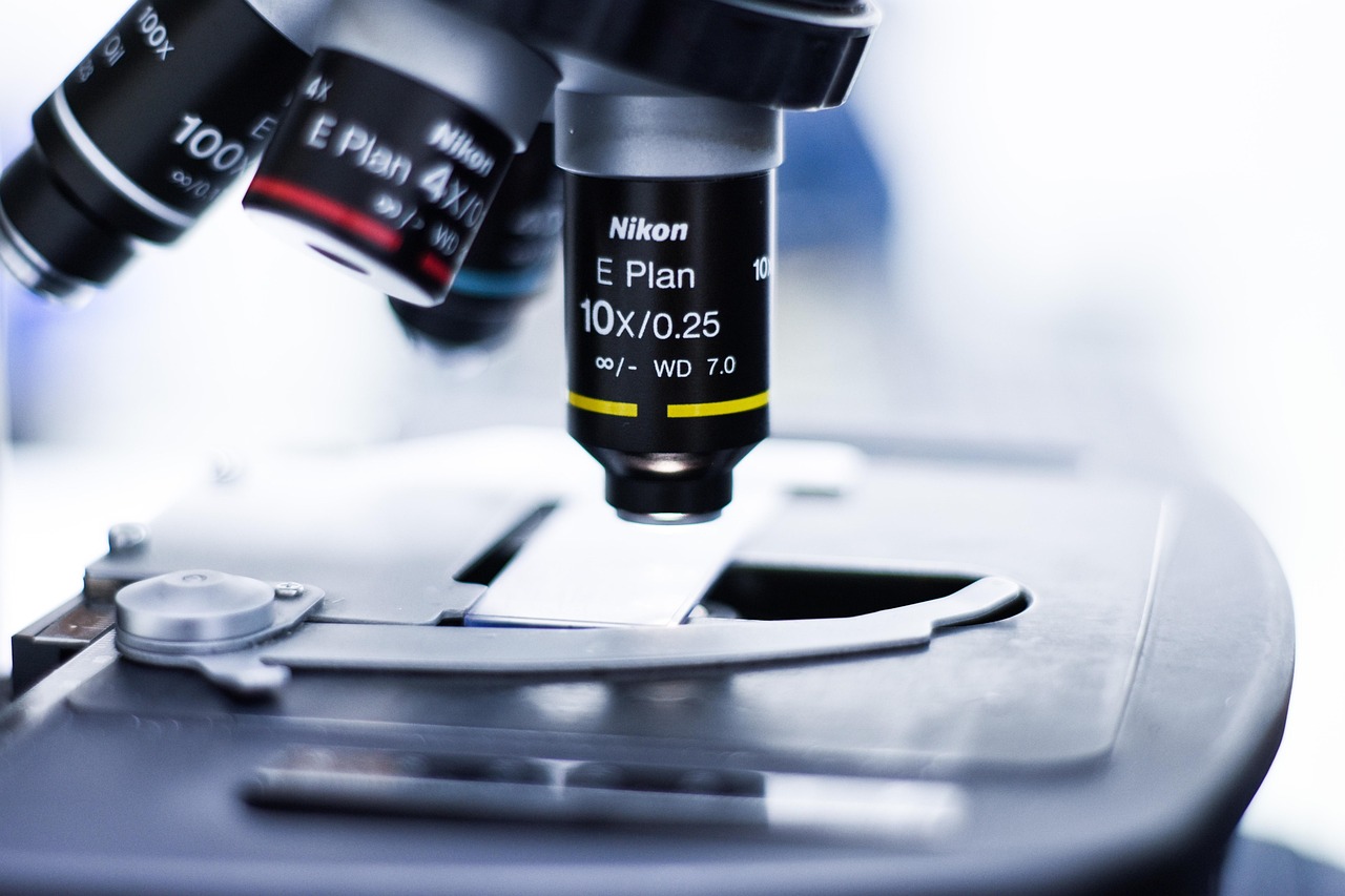 贝壳烟嘴的历史与发展