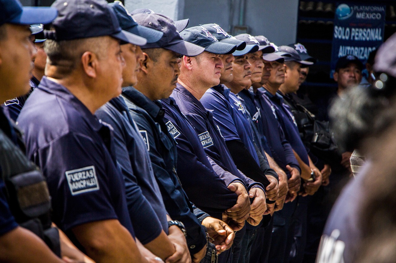 豌豆ip实名账号:中国人寿保险详情下载教程app