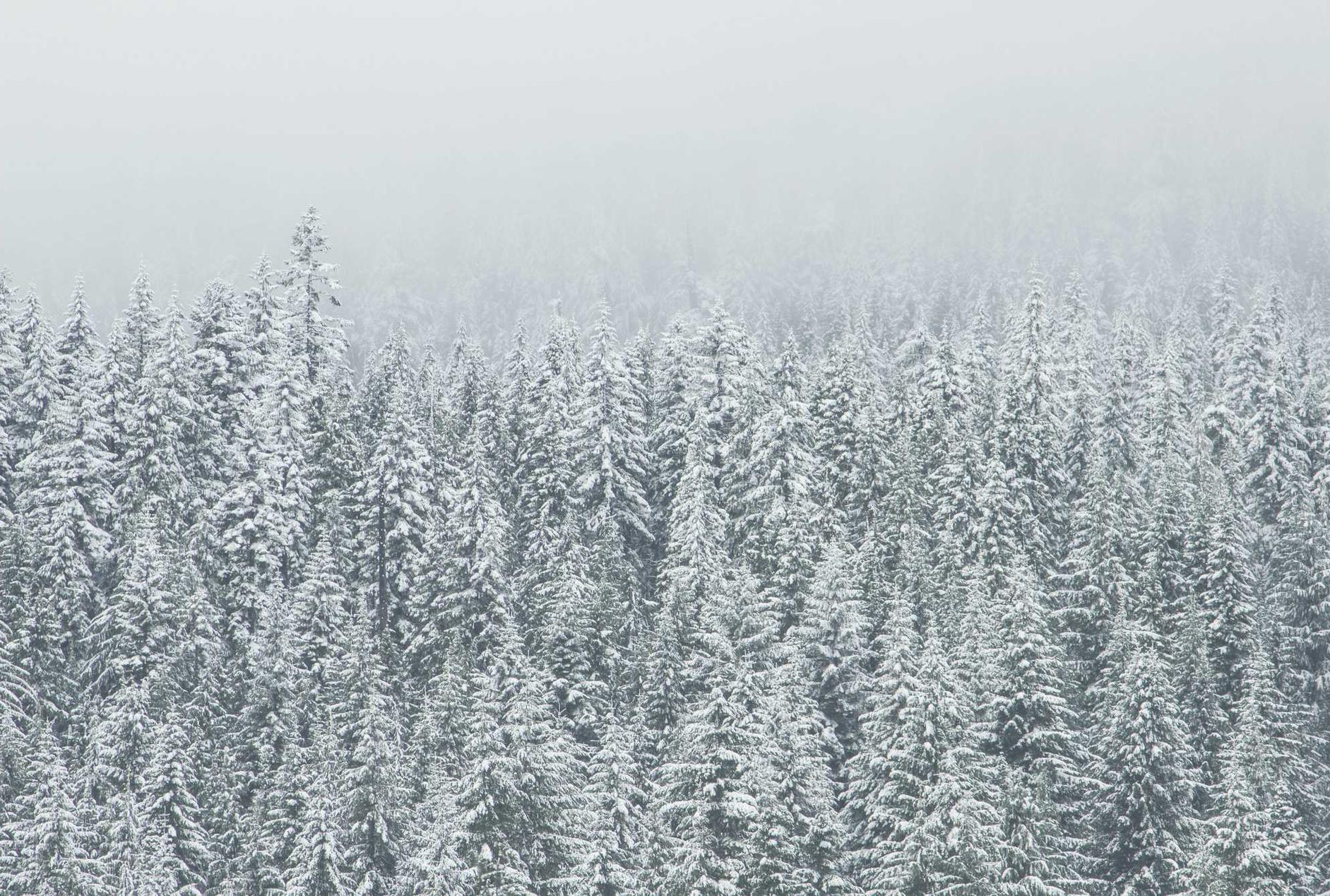 微信号买卖：实名账号在公共文化服务中的应用