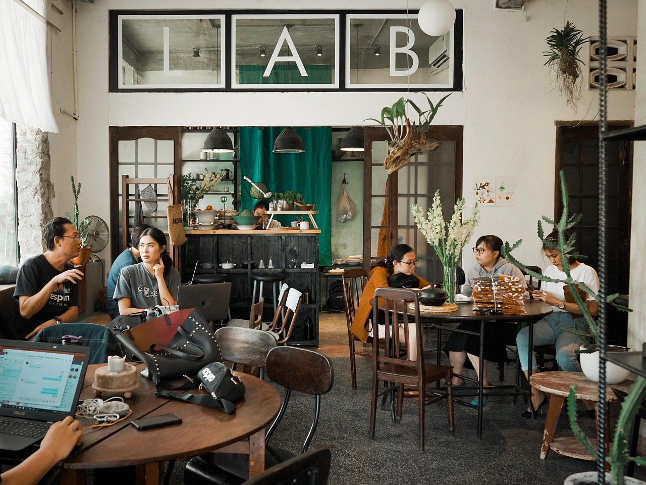 蓝狮在线猫社区app详情下载教程官网详情下载教程