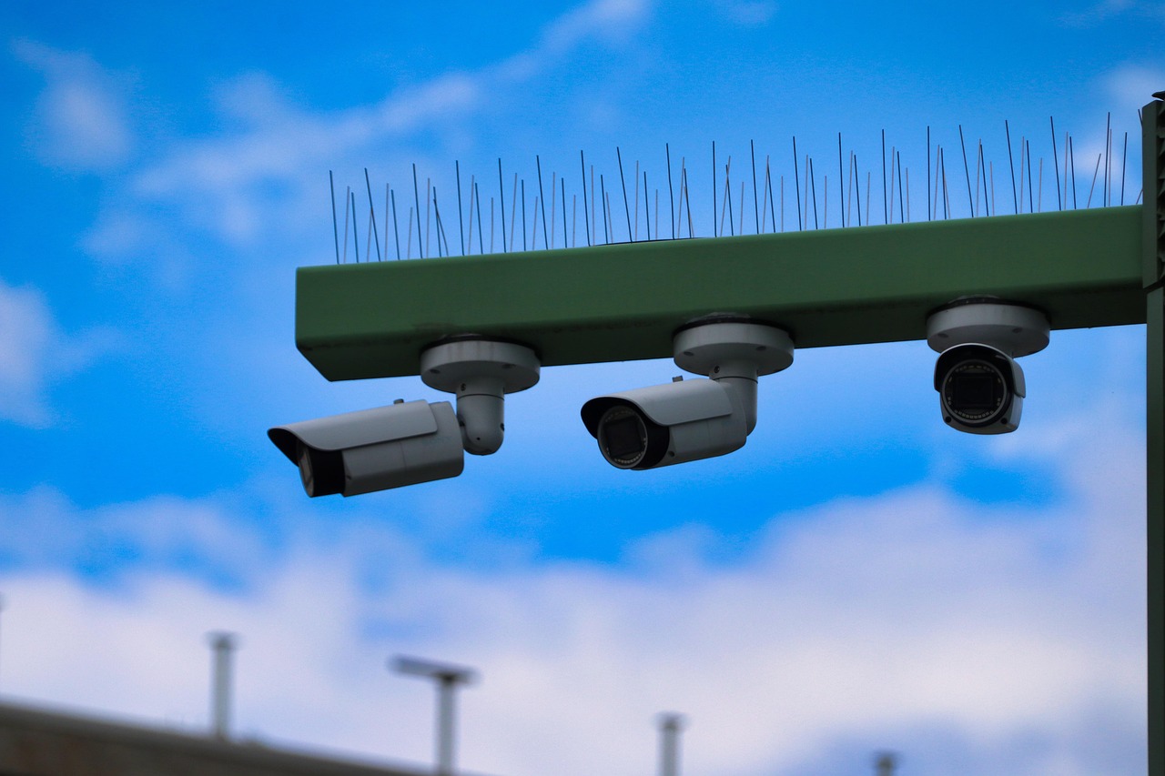 荣耀2不了app详情下载教程西西