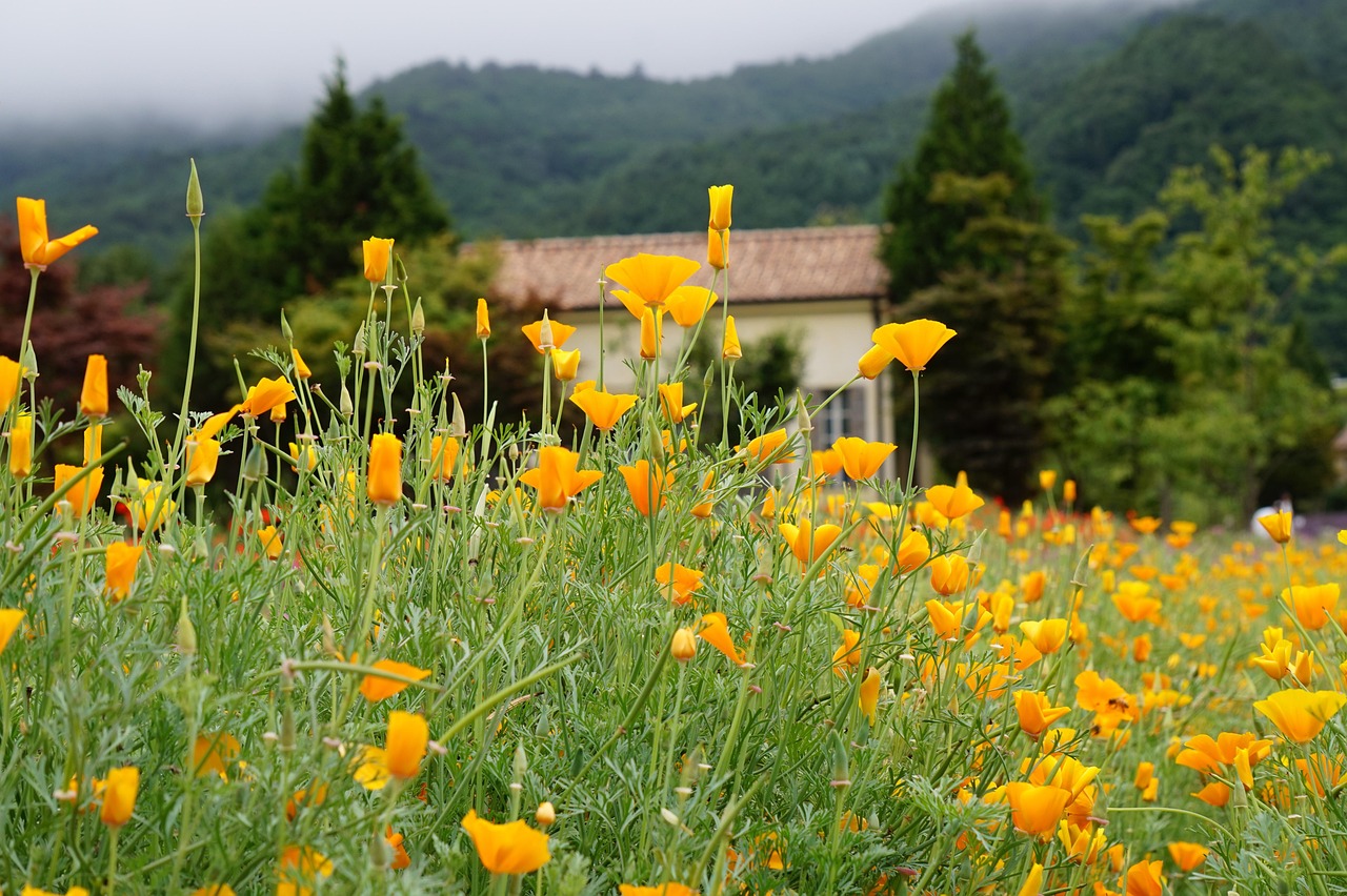 详情下载教程西安监理app