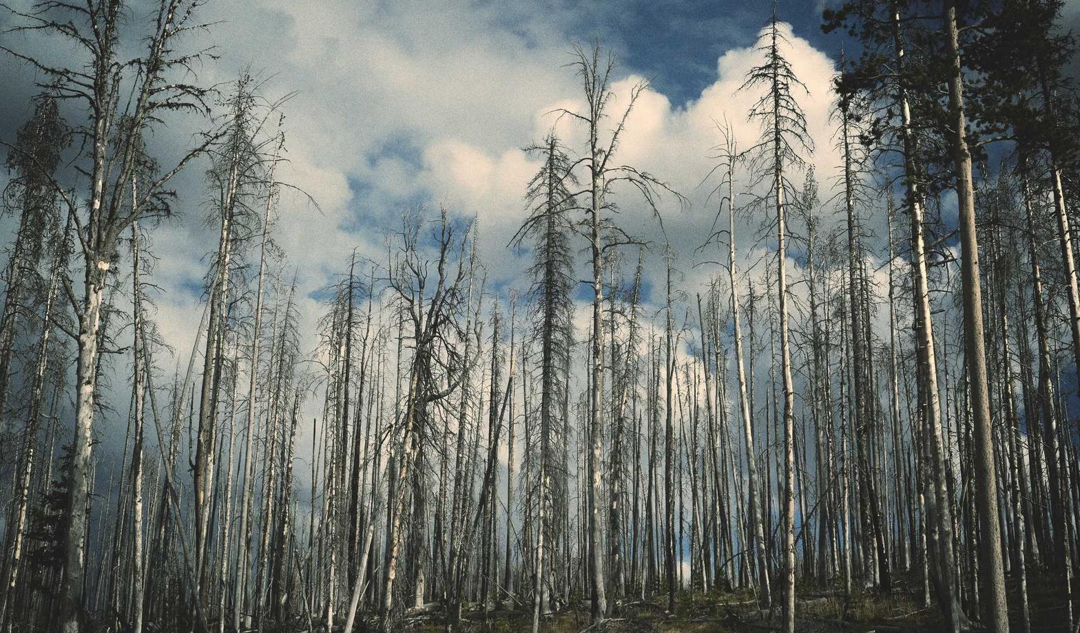 小米移动实名账号：金币投资app详情下载教程