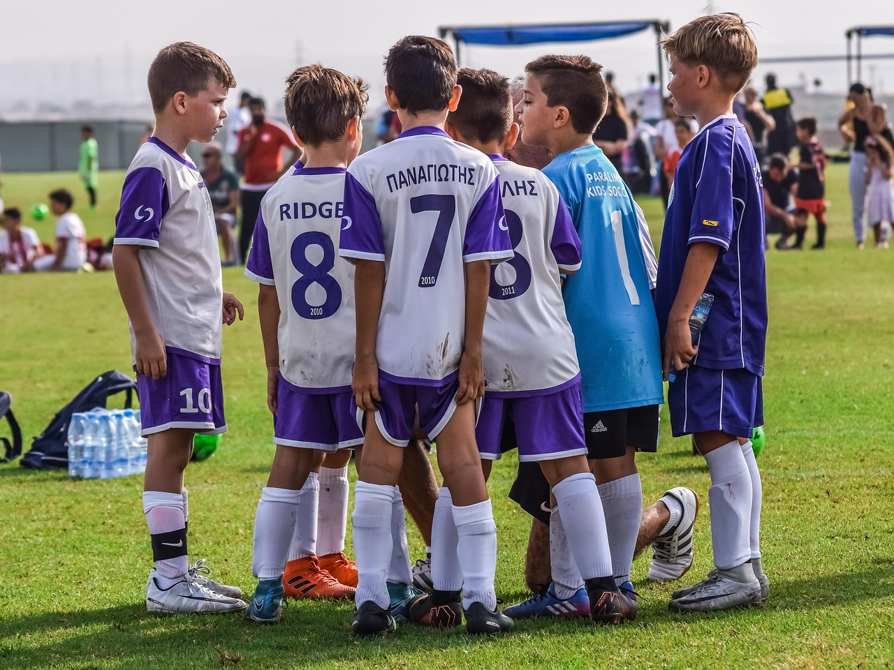 百合网实名账号：共享经济代理平台