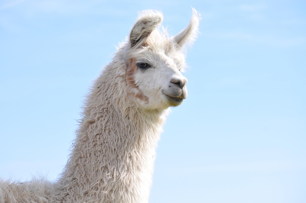 SEO常见错误：避免在SEO中犯常见错误